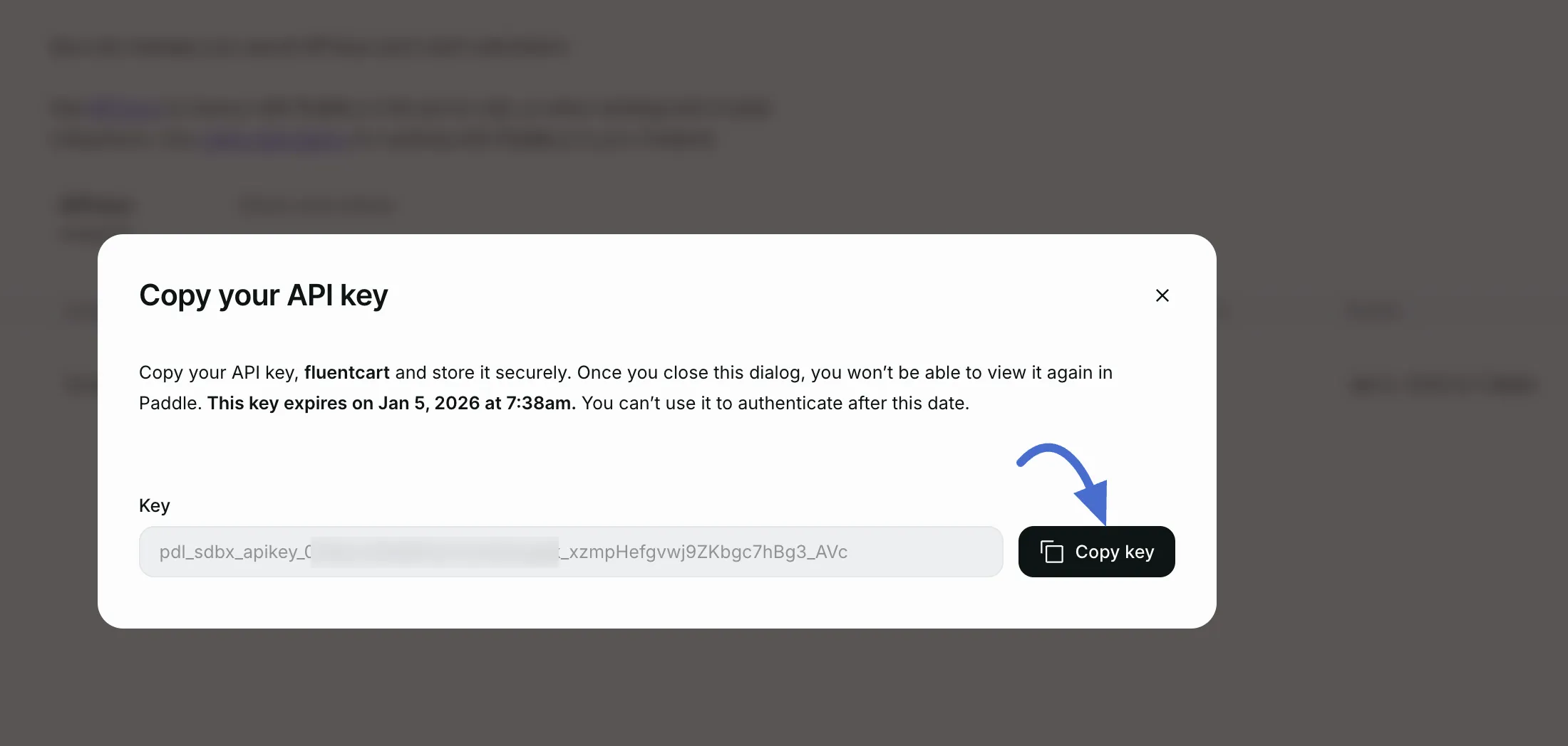 Screenshot of Copy API key